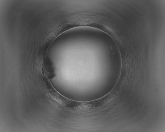 X0000051900307200507011514