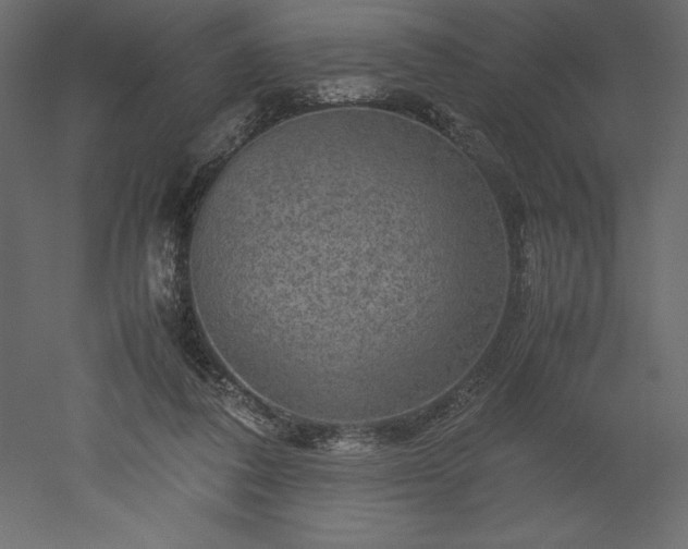 X0000051900308200507011514