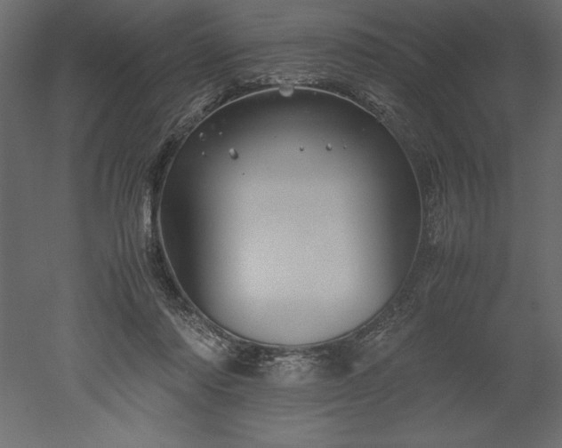 X0000051900310200507011514
