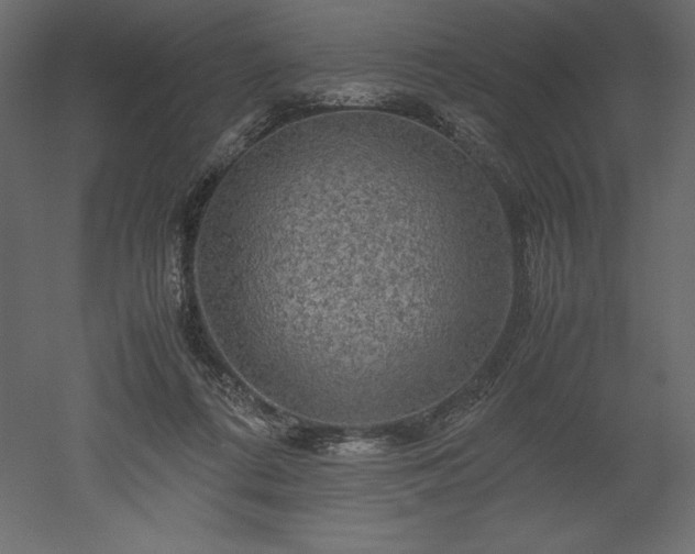 X0000051900312200507011514