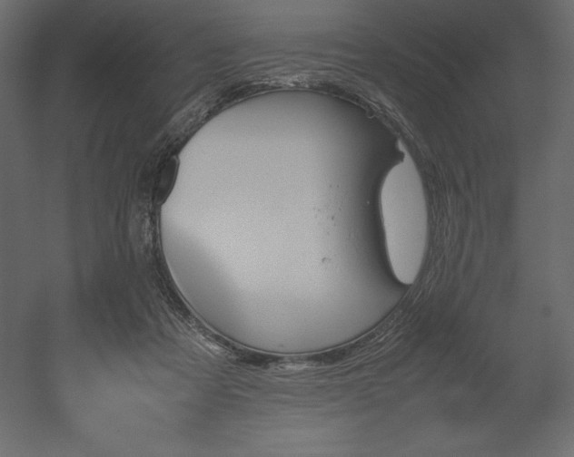 X0000051900313200507011514