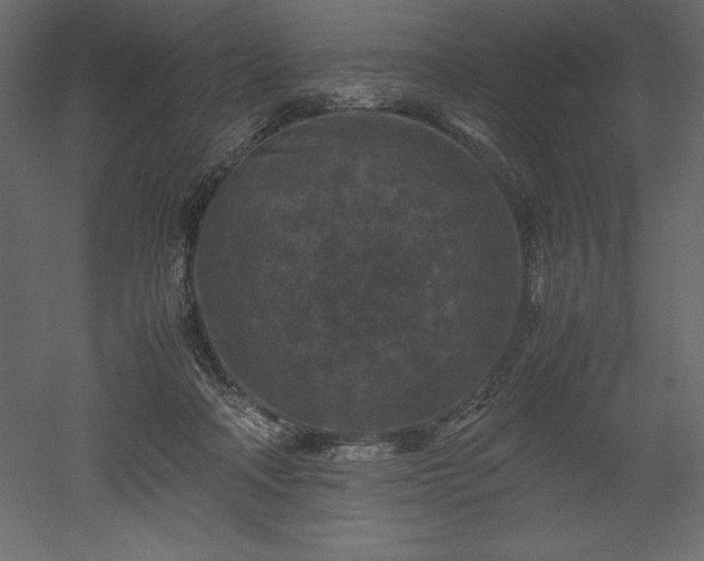 X0000051900314200507011514