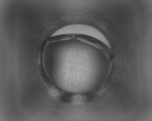 X0000051900315200507011514