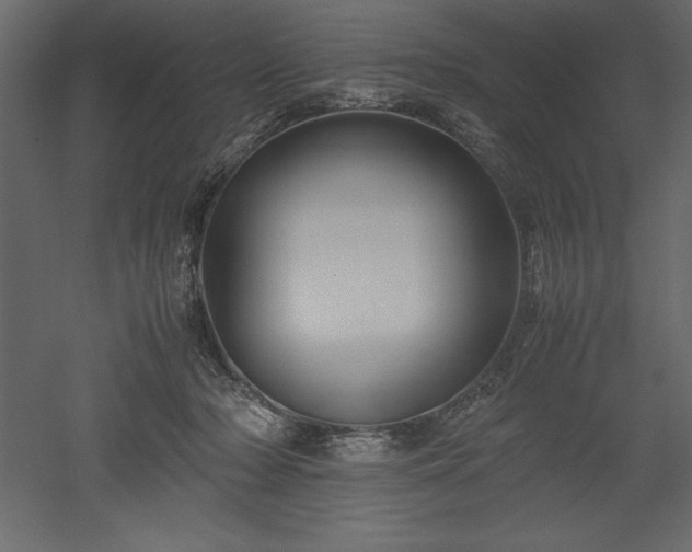 X0000051900318200507011514