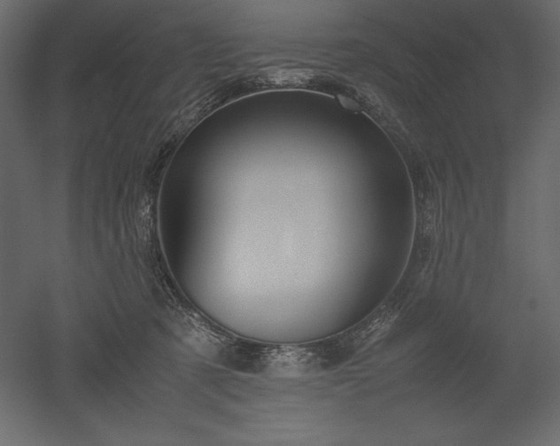 X0000051900321200507011514
