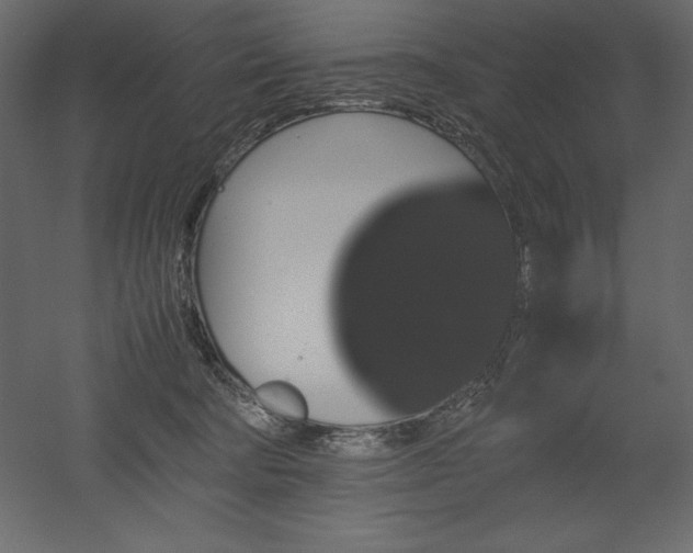 X0000051900322200507011514