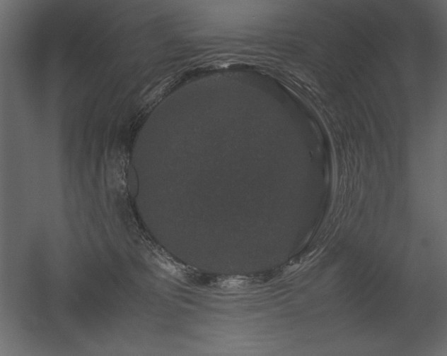 X0000051900325200507011514
