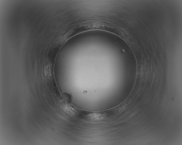 X0000051900326200507011514
