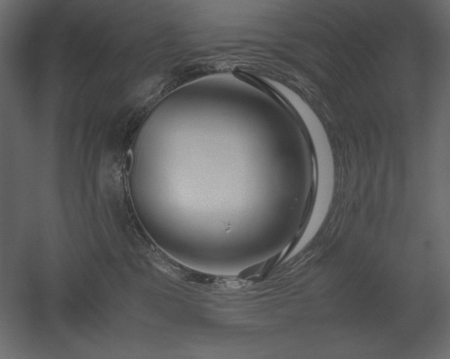X0000051900329200507011514