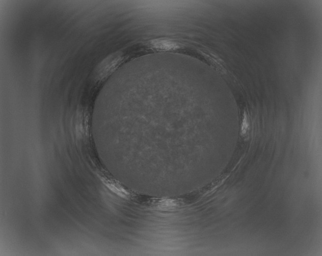 X0000051900330200507011514
