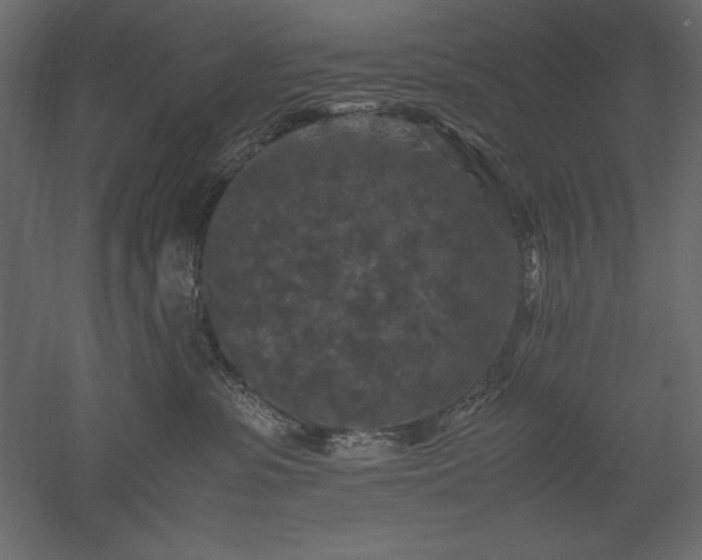 X0000051900331200507011514