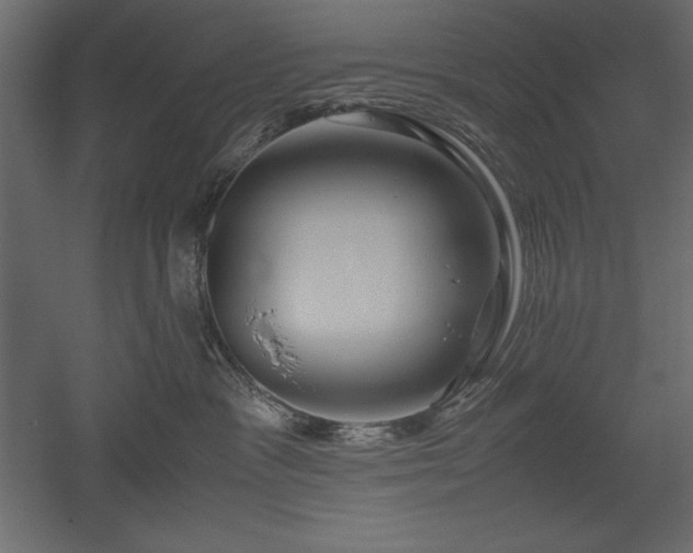 X0000051900333200507011514
