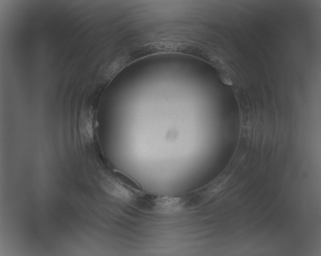 X0000051900334200507011514