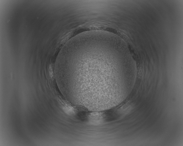 X0000051900335200507011514