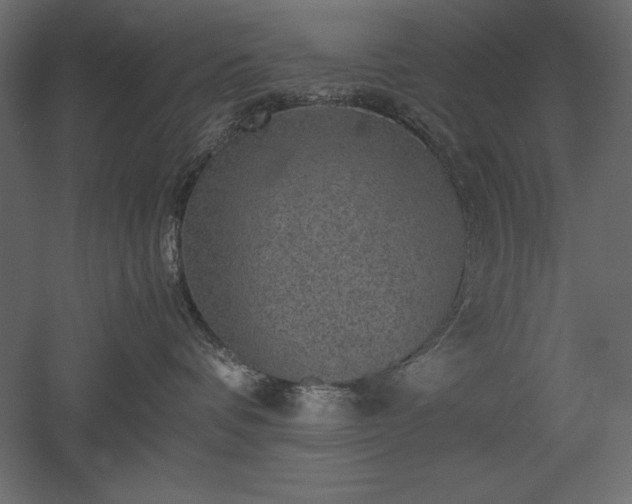 X0000051900336200507011514