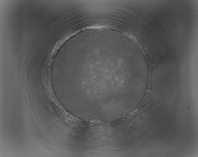 X0000051900337200507011513
