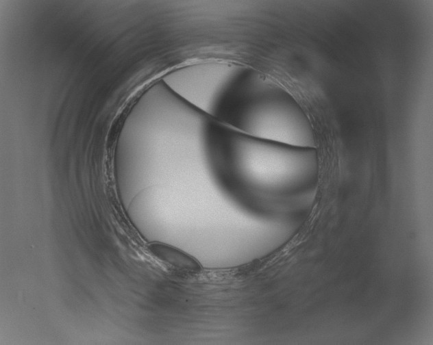 X0000051900338200507011513
