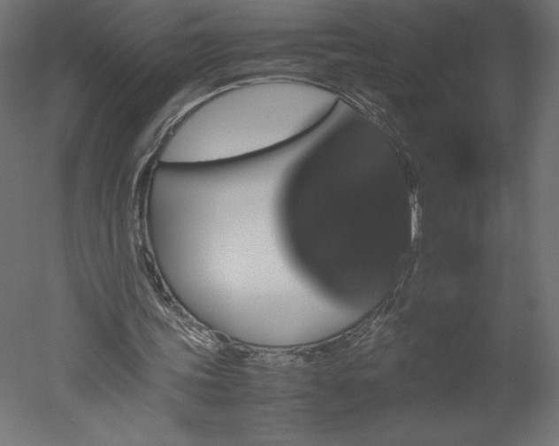 X0000051900339200507011513