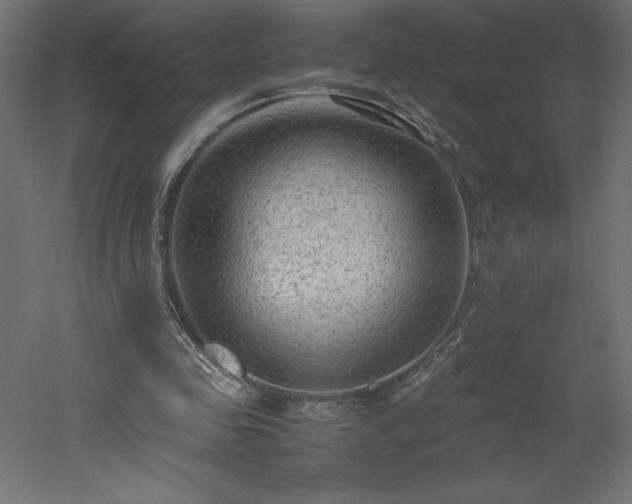 X0000051900341200507011513