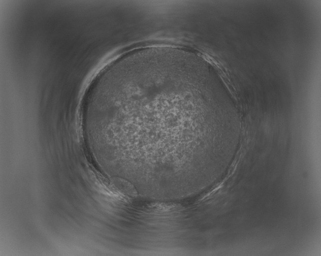 X0000051900343200507011513