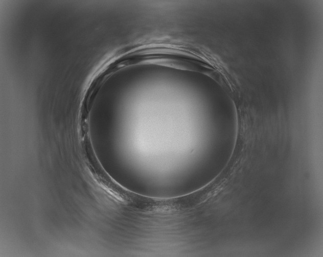 X0000051900344200507011513