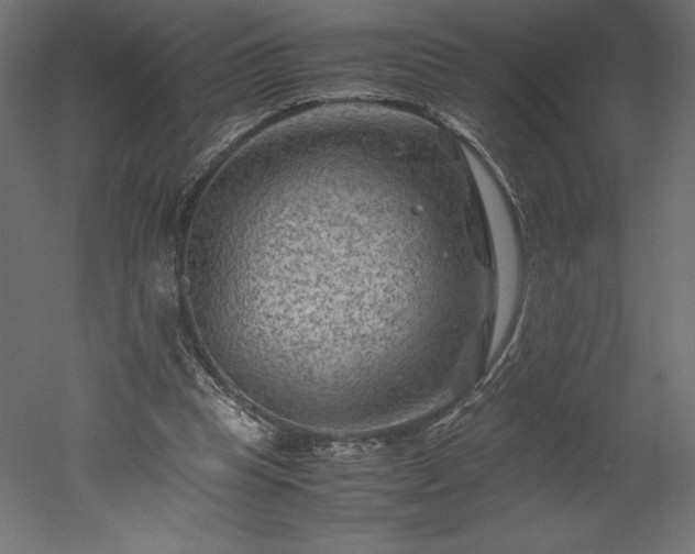 X0000051900345200507011513