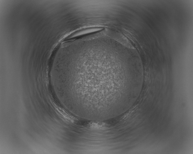 X0000051900346200507011513