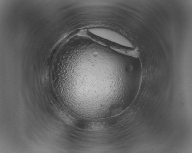 X0000051900347200507011513