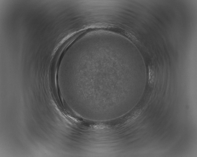 X0000051900348200507011513