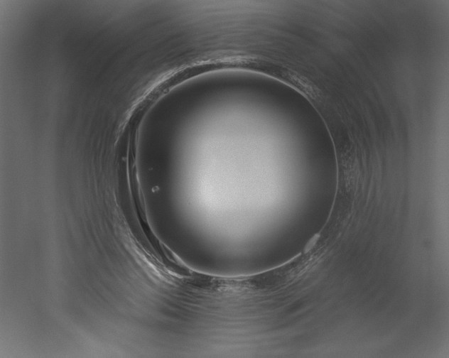 X0000051900350200507011513