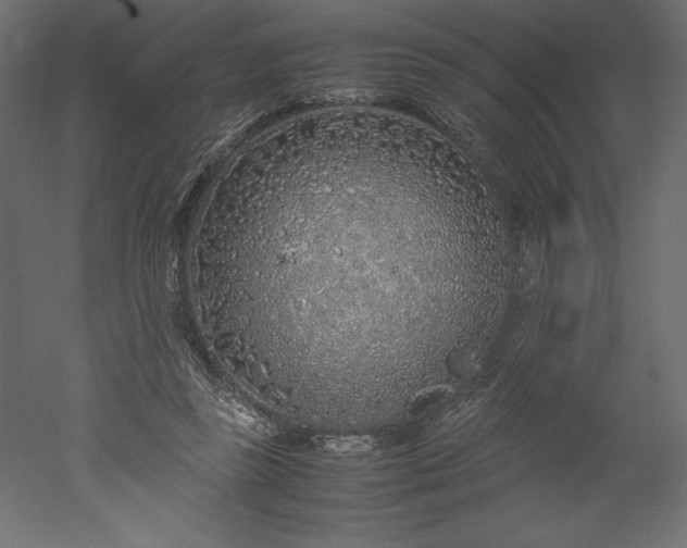 X0000051900355200507011513