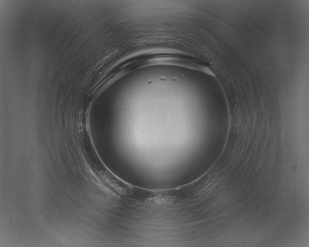 X0000051900356200507011513