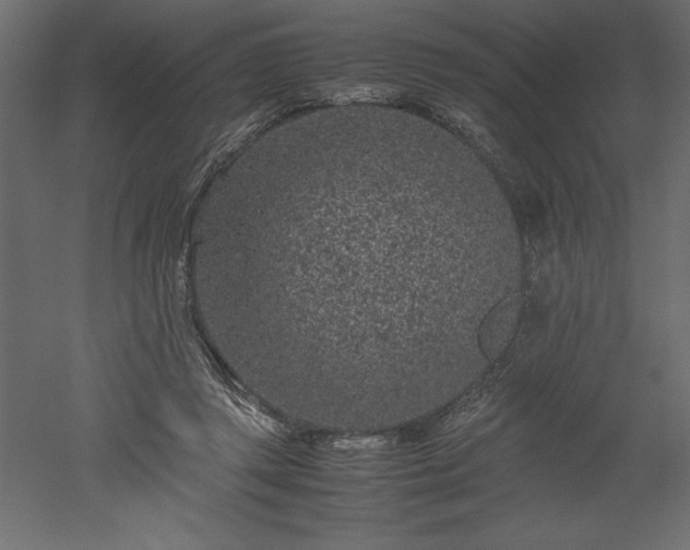 X0000051900357200507011513