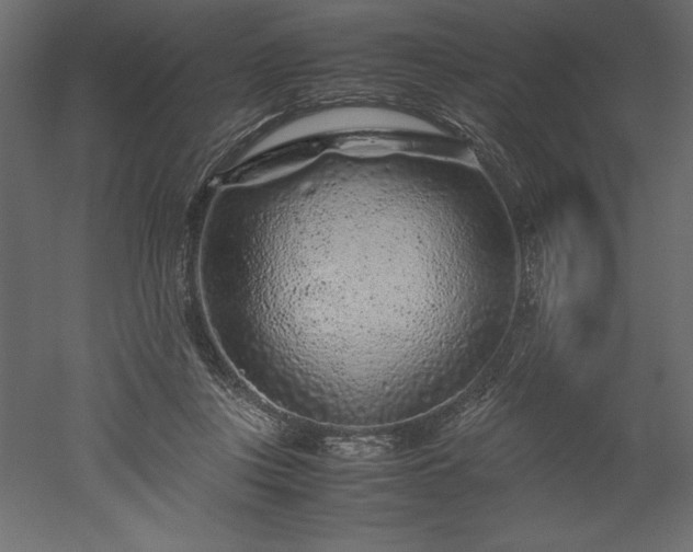 X0000051900359200507011513