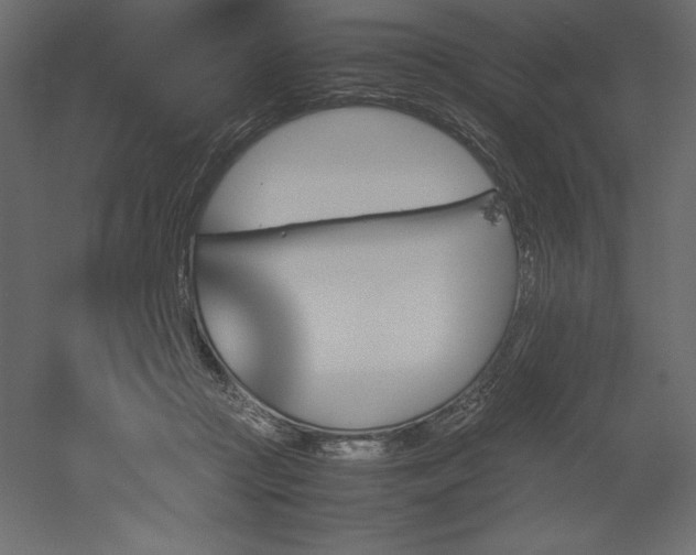 X0000051900361200507011513