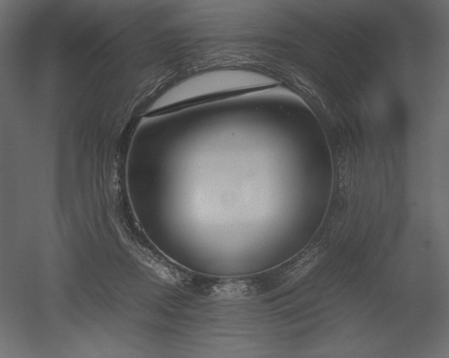 X0000051900362200507011513