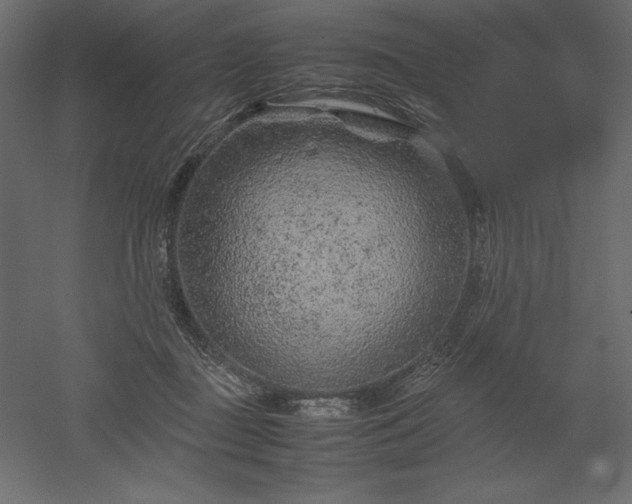 X0000051900363200507011513