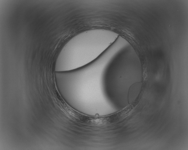 X0000051900365200507011513