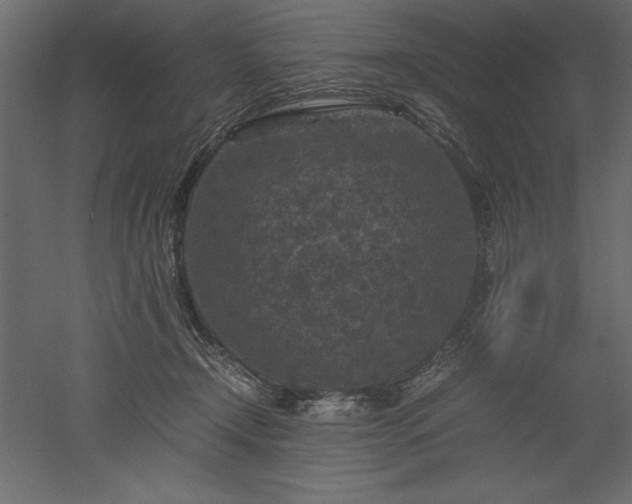 X0000051900366200507011513