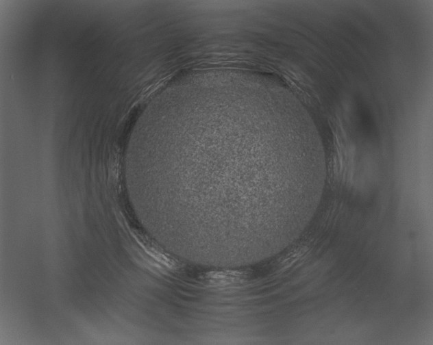 X0000051900367200507011513
