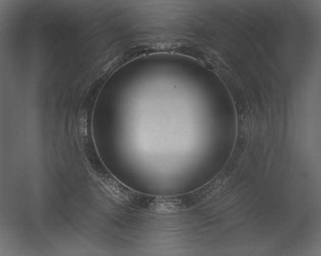 X0000051900368200507011513