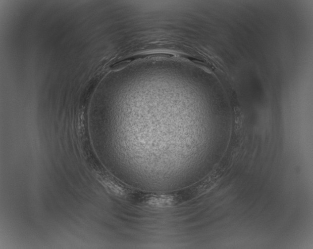 X0000051900369200507011513