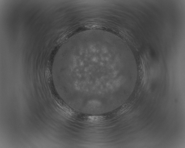 X0000051900371200507011513