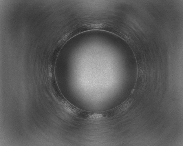 X0000051900374200507011513