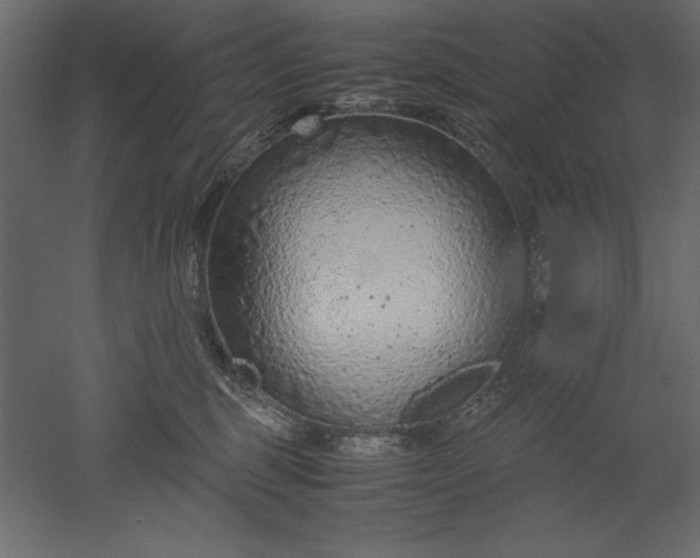 X0000051900375200507011513