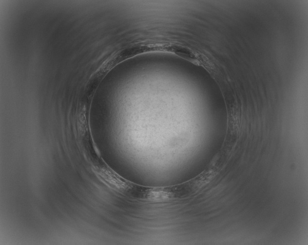 X0000051900376200507011514