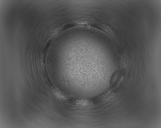 X0000051900377200507011514