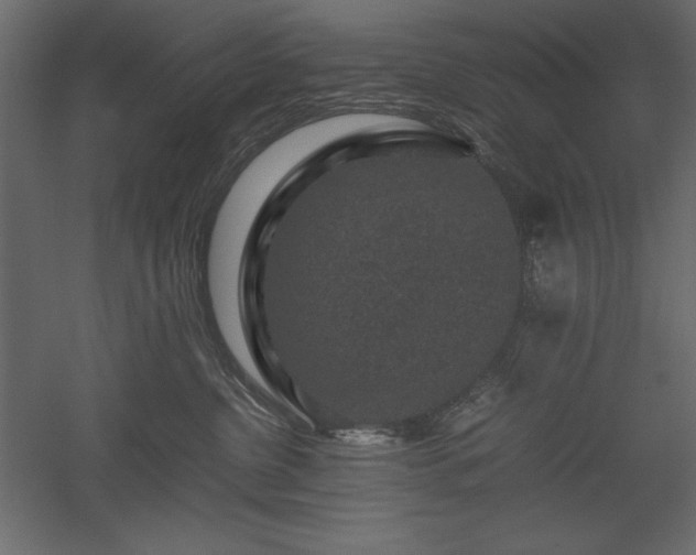 X0000051900380200507011514