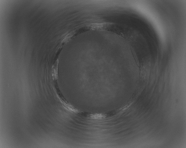 X0000051900383200507011514