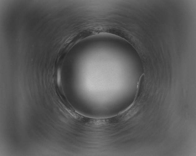 X0000051900384200507011514